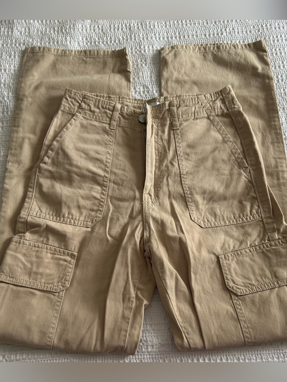 Zara Cargo Pants